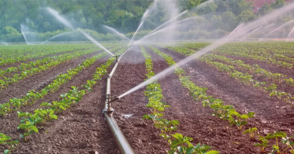 Influences Irrigation Systems 