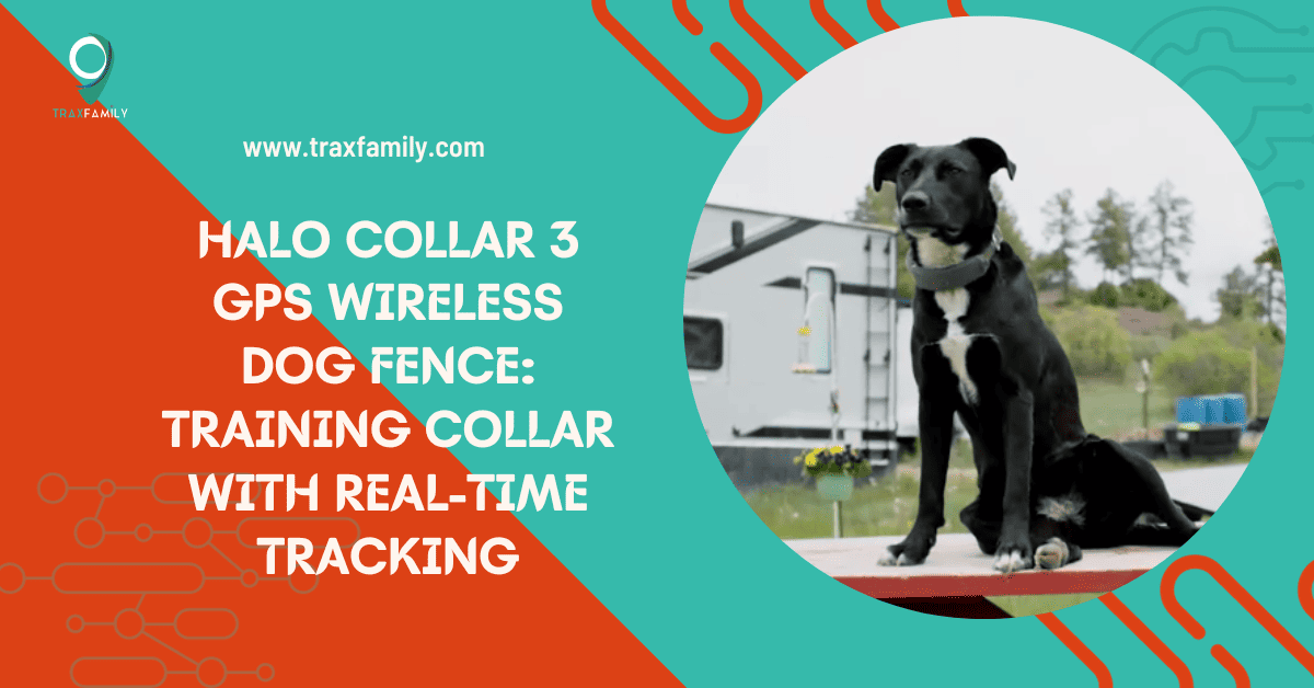halo collar 3 wireless dog fence review