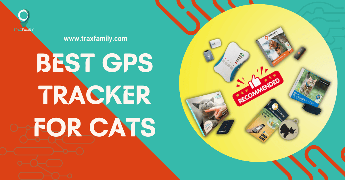 gps tracker for cats
